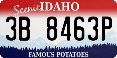 ID license plate 3B8463P