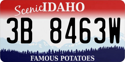 ID license plate 3B8463W