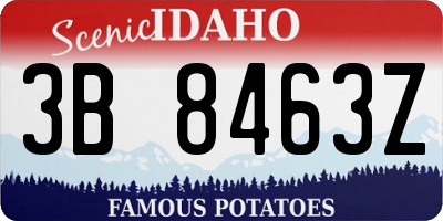 ID license plate 3B8463Z