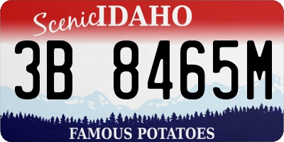 ID license plate 3B8465M