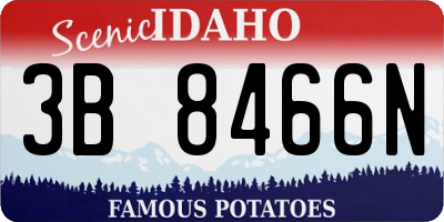 ID license plate 3B8466N