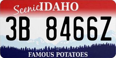 ID license plate 3B8466Z