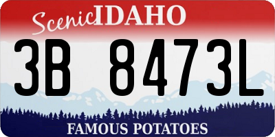 ID license plate 3B8473L