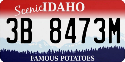 ID license plate 3B8473M