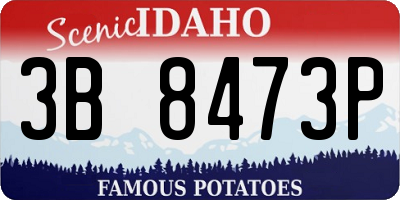 ID license plate 3B8473P