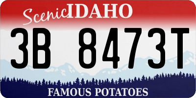 ID license plate 3B8473T