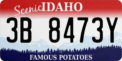 ID license plate 3B8473Y