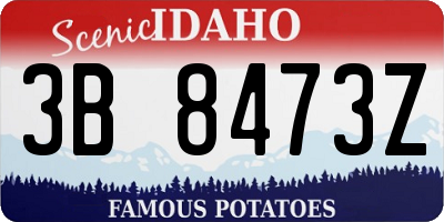 ID license plate 3B8473Z