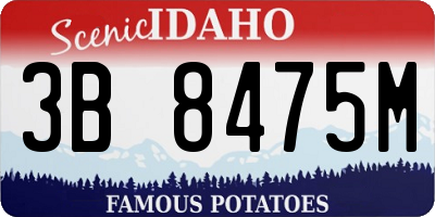ID license plate 3B8475M