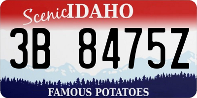 ID license plate 3B8475Z