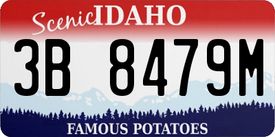 ID license plate 3B8479M