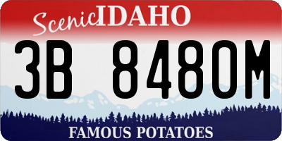 ID license plate 3B8480M