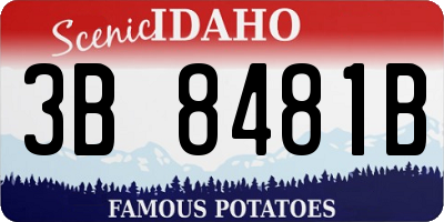 ID license plate 3B8481B