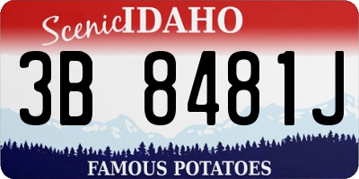 ID license plate 3B8481J