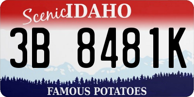 ID license plate 3B8481K