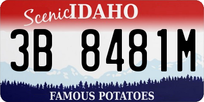 ID license plate 3B8481M