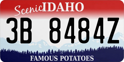 ID license plate 3B8484Z