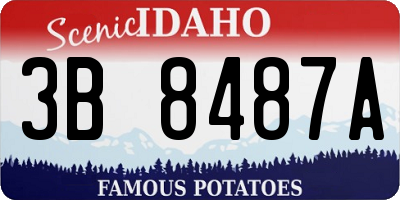 ID license plate 3B8487A