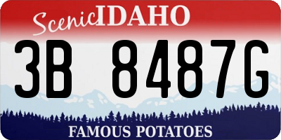 ID license plate 3B8487G