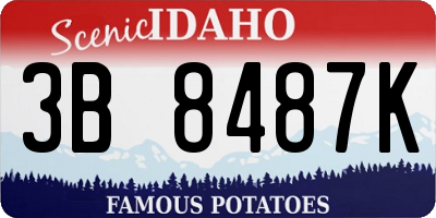 ID license plate 3B8487K