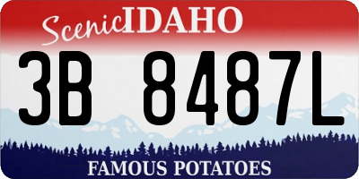 ID license plate 3B8487L