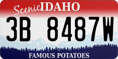 ID license plate 3B8487W