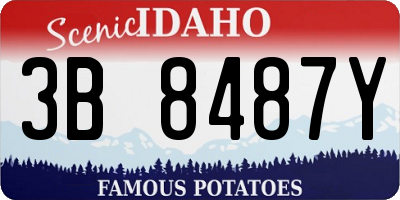 ID license plate 3B8487Y