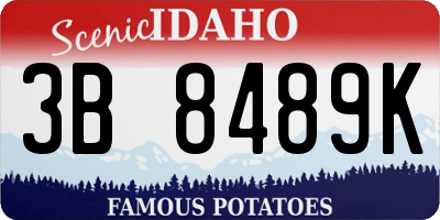 ID license plate 3B8489K