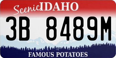 ID license plate 3B8489M