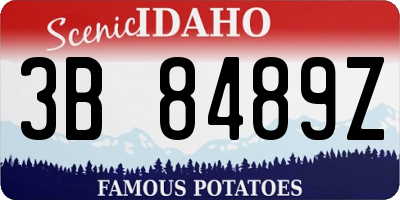 ID license plate 3B8489Z
