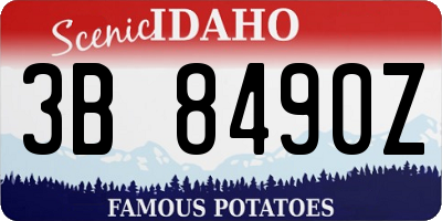 ID license plate 3B8490Z