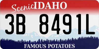 ID license plate 3B8491L