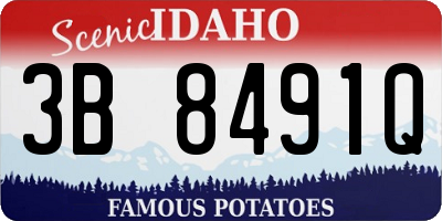 ID license plate 3B8491Q