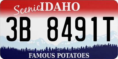 ID license plate 3B8491T