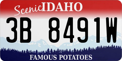 ID license plate 3B8491W