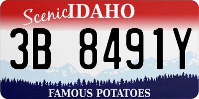 ID license plate 3B8491Y