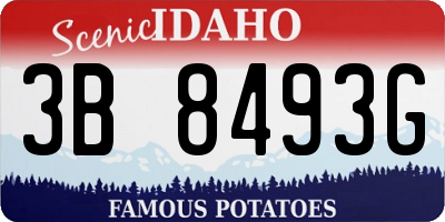 ID license plate 3B8493G