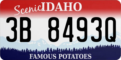 ID license plate 3B8493Q