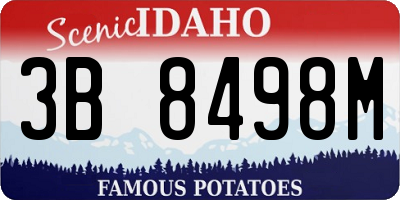 ID license plate 3B8498M