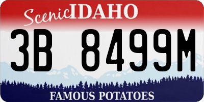 ID license plate 3B8499M