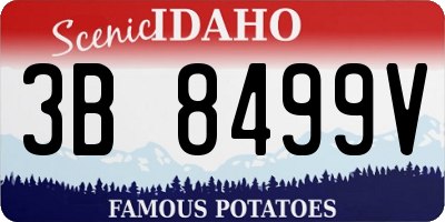 ID license plate 3B8499V