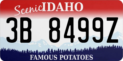ID license plate 3B8499Z