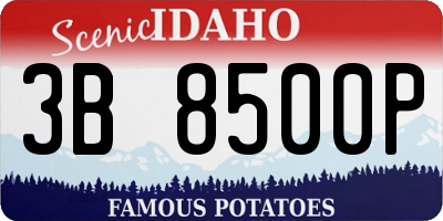 ID license plate 3B8500P