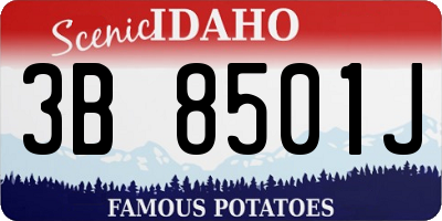 ID license plate 3B8501J