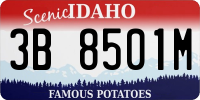 ID license plate 3B8501M