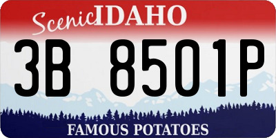 ID license plate 3B8501P