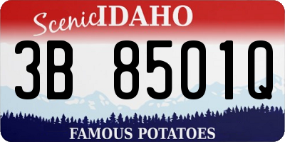ID license plate 3B8501Q