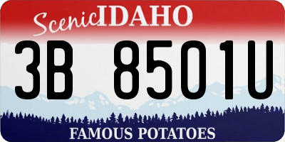 ID license plate 3B8501U