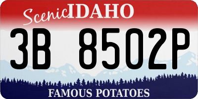 ID license plate 3B8502P