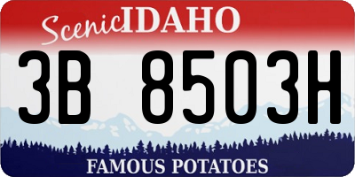 ID license plate 3B8503H